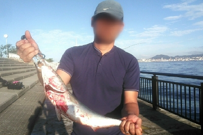 ショアジギ好調。ギリギリメジロに届かず！